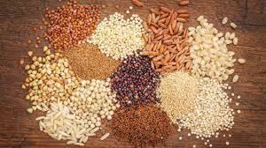 Various seeds and grains processed at No.1 Agro Clean